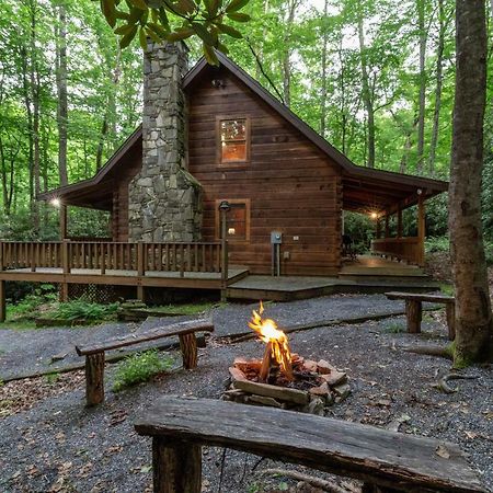 Creekside Bunkhouse Villa Whittier Ngoại thất bức ảnh